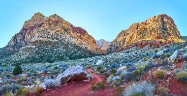 Las Vegas, Nevada yakınlarındaki canlı Red Rock Kanyonunu keşfedin. Yüksek oluşumlar, renkli katmanlar ve engebeli çöl yolları bu çarpıcı Amerikan güneybatı manzarasında macera ve keşifleri davet ediyor..