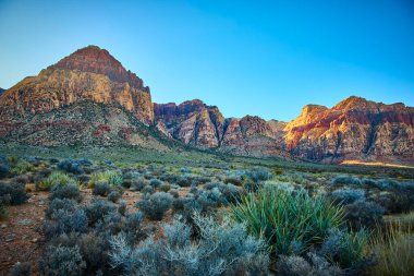 Las Vegas yakınlarındaki nefes kesen Red Rock uçurumları güneşin altın parıltısıyla güneşleniyor çöl çalıları ve açık mavi gökyüzü Nevada 'nın el değmemiş güzelliğini vurguluyor..