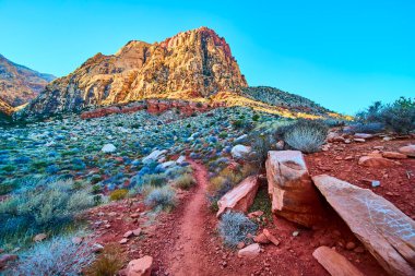 Nevada Red Rock 'ın altın saatindeki nefes kesici güzelliğini tecrübe edin. Oak Creek 'in engebeli çöl manzarasında yürüyüş yapmak ve gün ışığı yolundaki her adımda macerayı hissetmek..