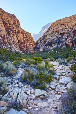 Nevada, Red Rock 'taki Buz Kutusu Kanyonu' nun nefes kesici güzelliğini keşfedin. Yüksek kızıl kayalıklar ve kayalık bir patika Las Vegas yakınlarındaki bu çarpıcı çöl manzarasında maceraya davetiye çıkarıyor. Doğa için mükemmel.