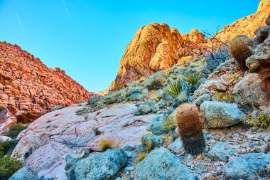 Nevada Red Rock Kanyonu 'ndaki Kraft Dağı' nın engebeli güzelliğini görün. Doğanın dayanıklılığının parladığı bu çarpıcı çöl manzarasında altın saatin tadını çıkarın..