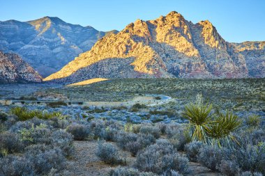 Las Vegas 'taki Red Rock Kanyonu' nda altın saat canlı kırmızı ve portakallarla çarpıcı kaya oluşumlarını gözler önüne seriyor. Bu dolambaçlı yol, macerayı çöl bitkilerinin ve büyüleyici manzaraların arasına davet ediyor..