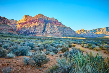 Las Vegas, Nevada yakınlarındaki Red Rock 'ın çarpıcı güzelliğini keşfedin. Kırmızı ve turuncu dağların görkemli katmanları gün batımında parlıyor, açık mavi gökyüzüne karşı parlıyor ve dayanıklı çöl bitkileriyle süsleniyor..