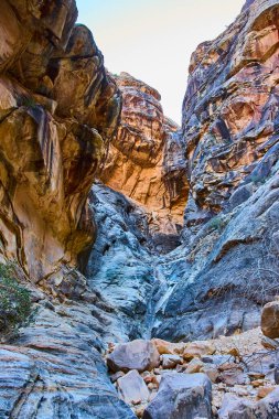 Red Rock, Nevada 'daki Ice Box Canyon' un hayranlık uyandıran güzelliğini keşfedin. Yükselen kumtaşı kayalıkları ve altın saat renkleri macera ve doğa meraklıları için mükemmel büyüleyici bir sahne yaratır..