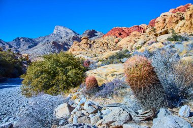 Red Rock, Las Vegas 'taki Kraft Dağı' nın canlı güzelliğini keşfedin. Kaktüs, kumtaşı oluşumları ve sakin mavi gökyüzünün altındaki uzak tepeleri ile kayalık arazinin ortasında duruyor. Mükemmel çöl