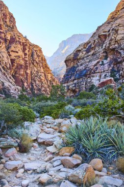 Las Vegas Nevada 'daki Ice Box Canyon' un engebeli güzelliğini keşfedin. Altın saat ışığı, bu dingin çöl manzarasında kırmızı kaya oluşumlarını ve yürüyüş yollarını güçlendirir. Macera arayanlar için mükemmel.