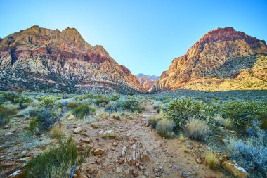 Las Vegas yakınlarındaki çarpıcı Kızıl Kaya Kanyonu 'nu, yüksek kumtaşı kayalıkları ve canlı çöl manzarasıyla keşfedin. Macera arayanlar ve Nevada 'nın özünü yakalayan doğa severler için mükemmel.