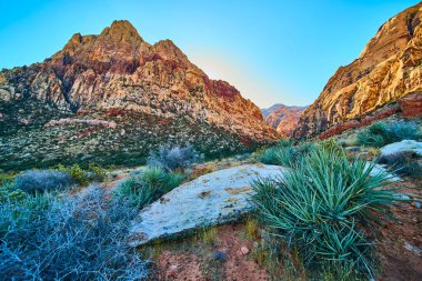 Las Vegas yakınlarındaki Red Rock Kanyonu 'nun çarpıcı güzelliğini keşfedin. Engebeli araziyi ve canlı renkleri tecrübe edin güneş sıcacık bir parıltı saçarken, çölleri ve doğal manzarayı aydınlatırken.