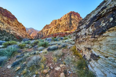 Las Vegas yakınlarındaki Red Rock Kanyonu 'nun nefes kesici güzelliğini tecrübe edin. Altın ışığın altında parlayan kumtaşı kayalıklarına ve canlı çöl bitkilerine hayran kaldım. Macera ve keşfe davet edildim..