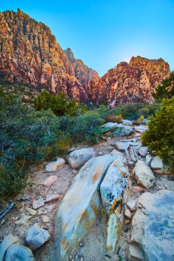 Nevada 'daki Red Rock Kanyonu' nun çarpıcı güzelliğini keşfedin. Altın saatte dramatik kırmızı oluşumlar boyunca engebeli patika boyunca yürüyüş yapmak macera arayanlar için Las Vegas yakınlarında mükemmel bir kaçış yolu..