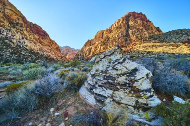 Altın güneş ışığı, Las Vegas yakınlarındaki Red Rock Kanyonu 'nun engebeli kızıl kayalıklarını yıkıyor. Oak Creek 'in çarpıcı manzarası canlı renkleri ve dayanıklı çöl bitkilerini vurguluyor. Macera için mükemmel.