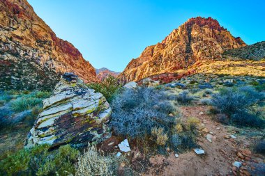 Las Vegas yakınlarındaki canlı Red Rock Kanyonunu keşfedin. Açık mavi gökyüzüne karşı yükselen kumtaşı tepeleri ve eşsiz kayalar macerayı davet ediyor ve Nevada çölünün ilham verici güzelliğini vurguluyor..