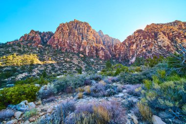 Nevada Red Rock 'taki Buz Kutusu Kanyonu' nun heybetli güzelliğini yüksek uçurumlar ve canlı çöl bitkileriyle yaşayın. Macera arayanlar ve doğa meraklıları için mükemmel..