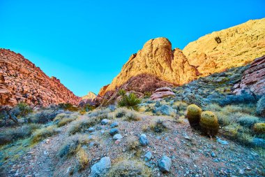Las Vegas, Nevada 'daki Kraft Dağı korkusunu yaşayın. Kırmızı ve turuncu dramatik uçurumlar, dayanıklı çöl bitkileri ve engebeli arazilerle çevrili altın saat güneşi altında dimdik ayakta duruyorlar..