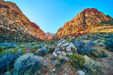 Las Vegas Nevada yakınlarındaki Red Rock Kanyonu 'nun altın parıltısının tadını çıkarın. Yüksek oluşumlar ve canlı çöl bitkileri macera ve keşif için mükemmel doğal güzelliğin nefes kesici bir sahnesini oluşturur.