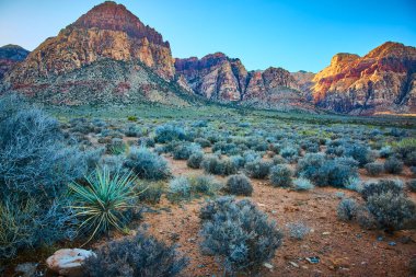 Red Rock Kanyonu 'nun nefes kesen manzarası altın saat boyunca engebeli dağlardaydı. Nevada 'nın berrak mavi gökyüzüne karşı canlı kırmızı ve turuncu renkleriyle sakin çöl manzarasını deneyin..