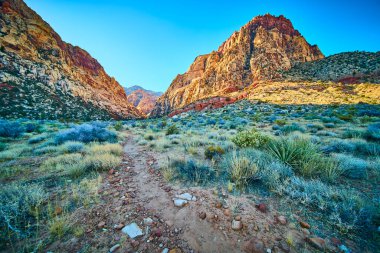 Las Vegas yakınlarındaki nefes kesici Red Rock Kanyonunu keşfedin. Kendinizi engebeli çöl manzarasına daldırın altın saat ışığı yükselen oluşumları ve kıvrımlı bitki örtüsünü aydınlatırken