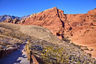 Las Vegas, Nevada 'daki canlı Red Rock Kanyonu' nu keşfedin. Çarpıcı kırmızı kumtaşı oluşumları mavi gökyüzü ile çok güzel tezat oluşturuyor, manzaralı yürüyüş yolları boyunca maceraya davetiye çıkarıyor. Tam oldu.