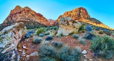 Nevada Çölü 'nün sonsuz güzelliğinin tadını çıkarın. Görkemli kızıl kaya oluşumları açık mavi gökyüzüne karşı yükseliyor. Las Vegas yakınlarında Amerika 'nın güneybatısının engebeli cazibesini tecrübe edin..