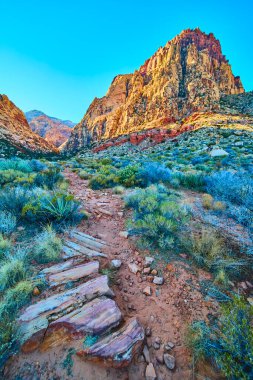 Las Vegas yakınlarındaki Red Rock Kanyonu 'nun büyüleyici kumtaşı kayalıklarını keşfedin. Oak Creek engebeli çöl manzarasında altın saat parıltısını yakalayın nefes kesici bir macera için.