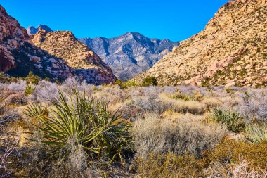 Nevada, Lost Creek Kanyonu 'nun engebeli güzelliğini keşfedin. Bu nefes kesen Kızıl Kaya manzarası açık mavi gökyüzü altında yeryüzü tonları ve canlı çöl bitkilerinin çarpıcı bir tezatını sunuyor..