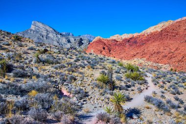Las Vegas yakınlarındaki çarpıcı Red Rock Kanyonunu keşfedin. Kraft Dağı 'nda canlı kırmızı oluşumlar ve engebeli yollar keşfedin. Doğal güzelliği ve yalnızlığı arayan macera meraklıları için mükemmel..