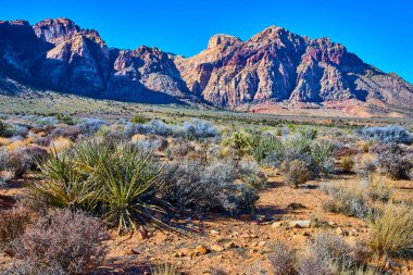 Nevada güneşinin altındaki Kızıl Kaya Kanyonu 'nun görkemli dağlarının canlı renklerini deneyin. Yukka ve sagebrush 'ın ortasında, bu çöl manzarası kurak güzelliğini keşfetmeye ve dehşete düşürmeye davet ediyor..