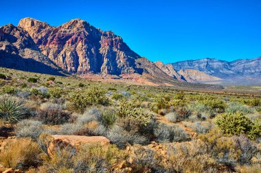Nevada 'daki Red Rock Kanyonu' nun nefes kesici güzelliğini keşfedin. Canlı mavi gökyüzünün altındaki görkemli kırmızı kaya oluşumlarına hayret ederek çöl manzarasının esnekliğini ve cazibesini sergiliyorlar..