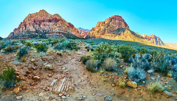 Nevada 'daki Red Rock Kanyonu' nun dingin güzelliğini görün. Kirli bir patika, berrak mavi gökyüzünün altındaki canlı çöl manzarasında maceraya davetiye çıkarır. Seyahat ve doğa meraklıları için mükemmel..