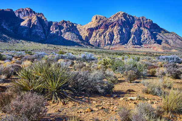 Nevada güneşinin altındaki Kızıl Kaya Kanyonu 'nun görkemli dağlarının canlı renklerini deneyin. Yukka ve sagebrush 'ın ortasında, bu çöl manzarası kurak güzelliğini keşfetmeye ve dehşete düşürmeye davet ediyor..