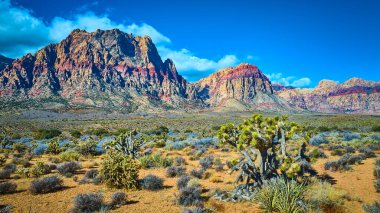 Las Vegas yakınlarındaki nefes kesici Red Rock Kanyonunu keşfedin. Açık mavi gökyüzünün altında yükselen kumtaşı kayalıklarına ve esnek Joshua ağaçlarına hayran kaldım. Doğa ve macera meraklıları için mükemmel..