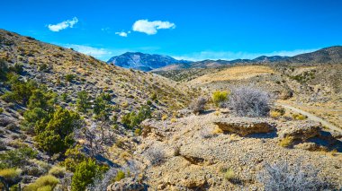 Las Vegas ve Nevada Charleston Dağı yakınlarındaki engebeli bir çöl manzarası. Sahnede çorak arazi, seyrek bitki örtüsü ve açık mavi gökyüzünün altında karla kaplı tepeler sergileniyor..