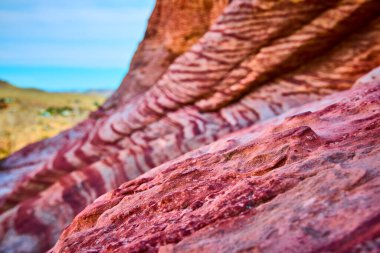 Calico, Las Vegas 'ta canlı kırmızı kaya oluşumları. Karmaşık dokular ve katmanlar sergiliyorlar. Nevadas 'ın ikonik çöl manzarasının nefes kesici güzelliğini ve sonsuz harikasını tecrübe edin..