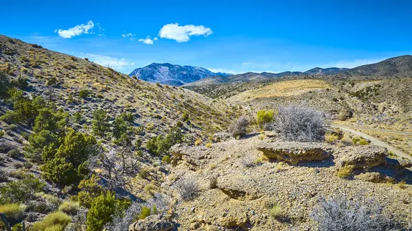 Las Vegas ve Nevada Charleston Dağı yakınlarındaki engebeli bir çöl manzarası. Sahnede çorak arazi, seyrek bitki örtüsü ve açık mavi gökyüzünün altında karla kaplı tepeler sergileniyor..