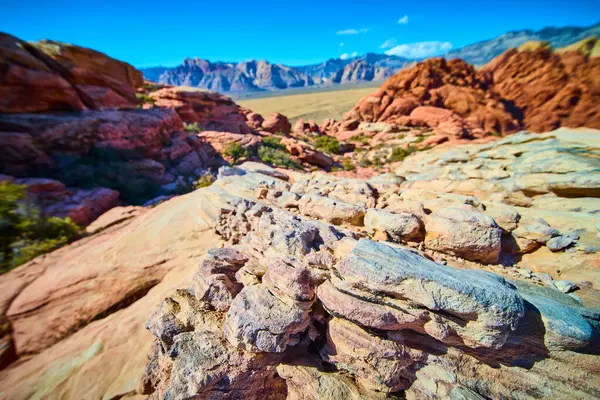 Las Vegas yakınlarındaki Grand Staircase Patikası 'ndaki Red Rock Kanyonu' nun engebeli güzelliğini keşfedin. Açık mavi bir gökyüzü altında antik kaya oluşumlarının canlı toprak tonları ve benzersiz dokularının tadını çıkarın..