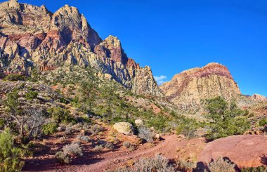 Las Vegas, Nevada 'daki Oak Creek Patikası' ndaki Kızıl Kaya Kanyonu 'nun engebeli güzelliğini keşfedin. Yüksek kırmızı oluşumlar, canlı mavi gökyüzüne karşı, doğada macera ve yalnızlık sunar..