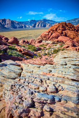 Nevada Red Rock Kanyonu 'nun nefes kesici güzelliğini keşfedin. Açık mavi gökyüzünün altındaki engebeli kumtaşı oluşumlarını ve engin çöl manzaralarını keşfedin. Macera ve doğa aşıkları için mükemmel..