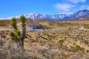 Nevada 'nın çarpıcı çöl manzarasında bir yolculuğa çıkın. Sarmal bir yol, ikonik Joshua ağacı, ve karla kaplı Charleston dağı parlak mavi gökyüzü altında keşif yapmaya davet ediyor..
