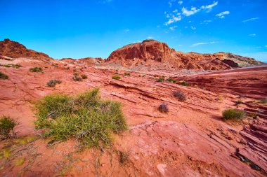 Canlı kırmızı kaya oluşumları Nevada Ateş Vadisi 'ndeki Moapa Vadisi boyunca uzanır. Engebeli yüzeyleri, canlı mavi gökyüzü ile tezat oluşturur. Evcilleştirilmemiş güzelliğin ve yalnızlığın vücut bulmuş halidir.