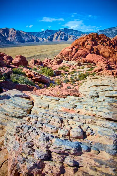 Nevada Red Rock Kanyonu 'nun nefes kesici güzelliğini keşfedin. Açık mavi gökyüzünün altındaki engebeli kumtaşı oluşumlarını ve engin çöl manzaralarını keşfedin. Macera ve doğa aşıkları için mükemmel..