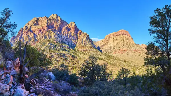 Nevada 'daki çarpıcı Kızıl Kaya Kanyonu' nu, parlak mavi gökyüzünün altındaki kırmızı oluşumları ve çöl bitkileriyle keşfedin. Macera ve doğa aşıkları için mükemmel.