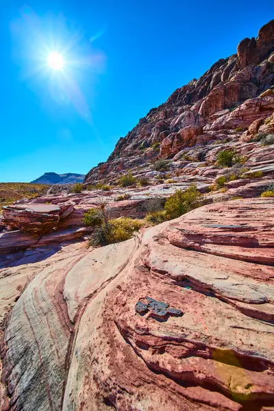 Las Vegas yakınlarındaki Grand Staircase Patikası 'nda güneşli çöl manzarası. Çarpıcı pembe ve kırmızı kaya oluşumları, parlak mavi gökyüzünün altında seyrek yeşillikle tezat oluşturuyor. Seyahat ve macera temaları için mükemmel.