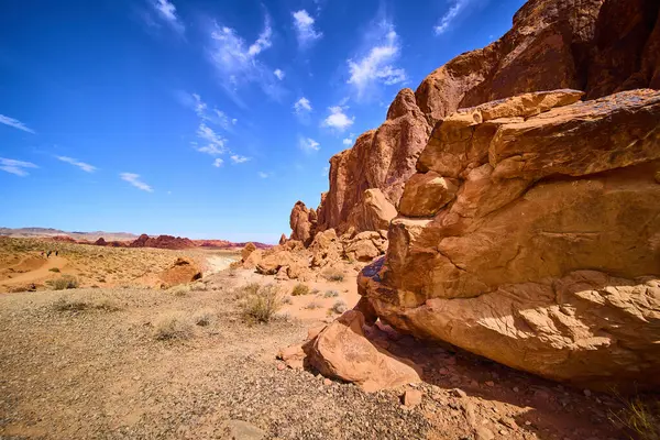 Nevada Moapa Vadisi 'ndeki Ateş Vadisi' nin nefes kesici manzarası. Güneşli kumtaşı kayalıkları ve ender çöl bitkileri canlı mavi gökyüzü altında ilham verici bir macera ve keşif manzarası sunar..