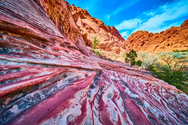 Kızıl Kaya Kanyonu, Nevada 'nın çarpıcı kızıl kaya oluşumlarını araştırın. Canlı renkler ve engebeli dokular açık mavi gökyüzüne karşı duruyor, doğa severler ve macera arayanlar için ideal..