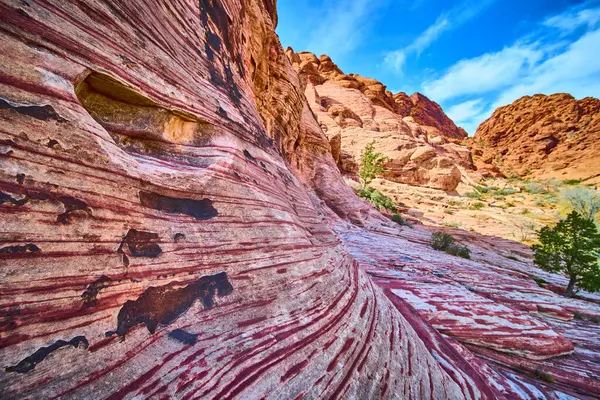 Nevada, Red Rock Canyon 'daki Calicos kırmızı kaya oluşumlarının çarpıcı güzelliğini keşfedin. Açık hava maceraları için mükemmel, parlak mavi gökyüzünün altındaki karmaşık kumtaşı katmanlarına hayret et..