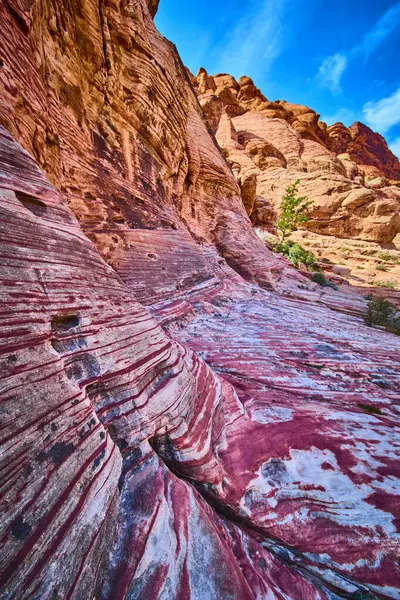 Las Vegas, Nevada 'daki Calicos kırmızı kumtaşı oluşumlarının nefes kesici görüntüsü. Canlı renkler ve eşsiz erozyon desenleri canlı mavi gökyüzünün altında çarpıcı bir çöl manzarası yaratır. Doğa aşıkları için ideal.