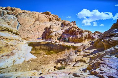 Las Vegas, Nevada 'daki Calico Tanklarının görkemli kumtaşı oluşumlarını araştırın. Bu canlı çöl manzarasında sıcak kırmızı kayalar, dingin bir gölet ve derin mavi bir gökyüzü bulunur..