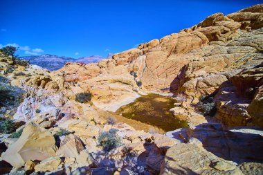 Nevada 'daki canlı Kızıl Kaya Kanyonu' nu, çarpıcı kumtaşı oluşumları ve dingin gölüyle keşfedin. Bu nefes kesici çöl manzarası güzelliğin ve dayanıklılığın kanıtıdır..