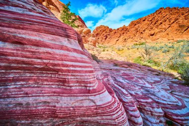 Nevada 'daki Ateş Eyaleti Vadisi Parkı' ndaki kırmızı ve beyaz kumtaşı oluşumlarının nefes kesici görüntüsü. Canlı renkler ve karmaşık desenler çölleri, jeolojik harikaları ve doğal güzellikleri vurgular..
