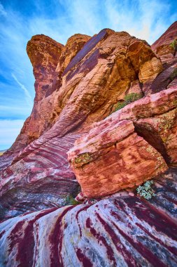 Las Vegas Nevada 'da uçsuz bucaksız mavi gökyüzünün altında Calicos' un canlı kırmızı ve pembe kumtaşı katmanlarının nefes kesici manzarası. Bu jeolojik harikanın görkemli güzelliğini ve zamansız cazibesini keşfedin..